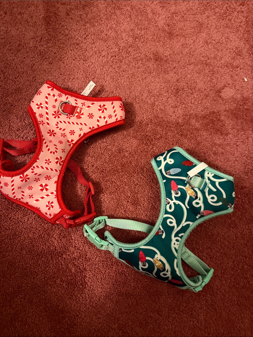 Festive Red & Teal Pet Harness Set